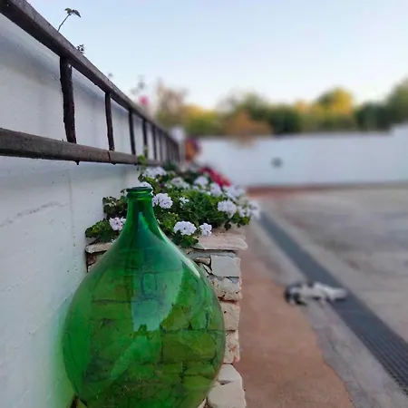 Dimora Degli Ulivi Del Salento Ostuni