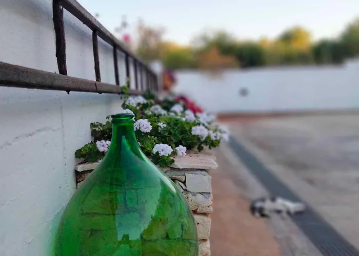 Dimora Degli Ulivi Del Salento Ostuni